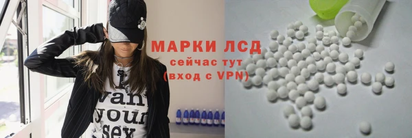 прущие грибы Гусь-Хрустальный