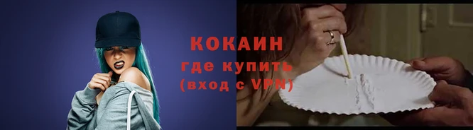 прущие грибы Гусь-Хрустальный