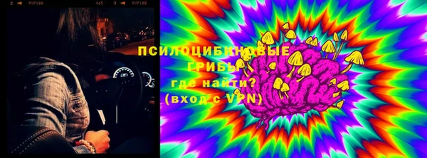 прущие грибы Гусь-Хрустальный