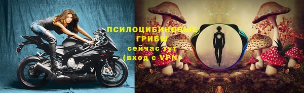 круглые Дмитриев