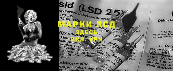 прущие грибы Гусь-Хрустальный