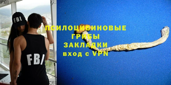 прущие грибы Гусь-Хрустальный